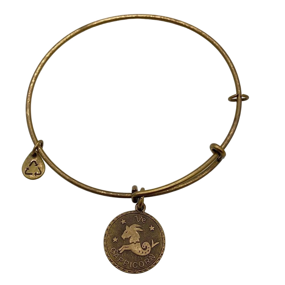🍭6/$30 Alex & Ani Capricorn Charm Bracelet